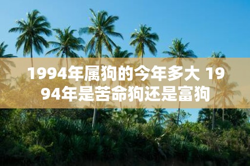 1994年属狗的今年多大 1994年是苦命狗还是富狗
