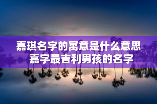 嘉琪名字的寓意是什么意思 嘉字最吉利男孩的名字