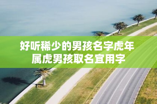 好听稀少的男孩名字虎年 属虎男孩取名宜用字