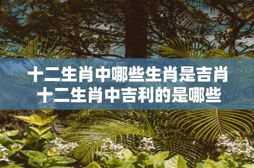 十二生肖中哪些生肖是吉肖 十二生肖中吉利的是哪些