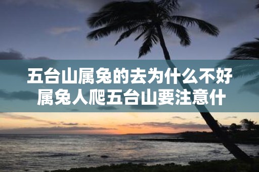 五台山属兔的去为什么不好 属兔人爬五台山要注意什么
