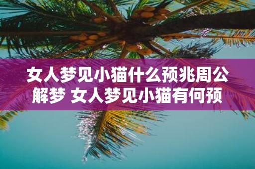 女人梦见小猫什么预兆周公解梦 女人梦见小猫有何预示