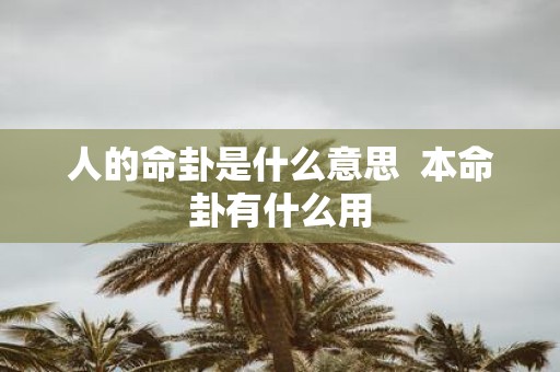 人的命卦是什么意思 本命卦有什么用