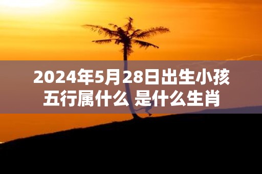 2025年5月28日出生小孩五行属什么 是什么生肖