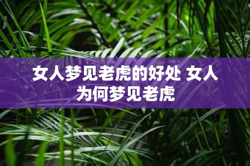女人梦见老虎的好处 女人为何梦见老虎