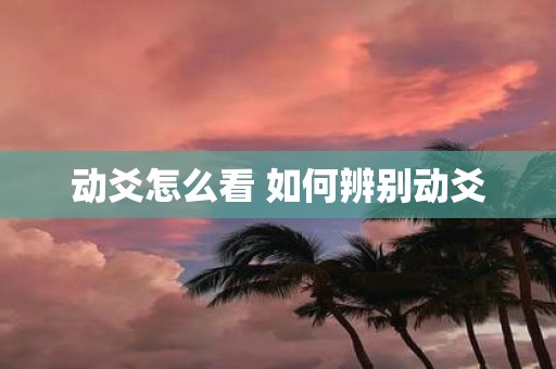 动爻怎么看 如何辨别动爻