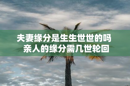 夫妻缘分是生生世世的吗 亲人的缘分需几世轮回