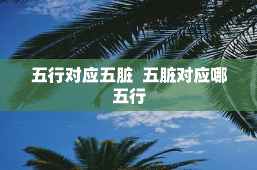 五行对应五脏 五脏对应哪五行