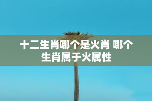 十二生肖哪个是火肖 哪个生肖属于火属性