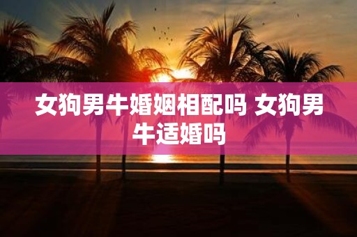 女狗男牛婚姻相配吗 女狗男牛适婚吗