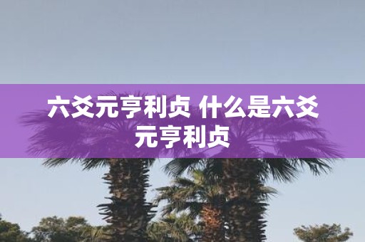 六爻元亨利贞 什么是六爻元亨利贞