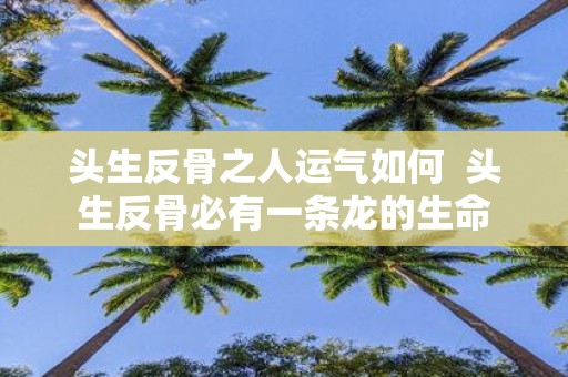 头生反骨之人运气如何 头生反骨必有一条龙的生命