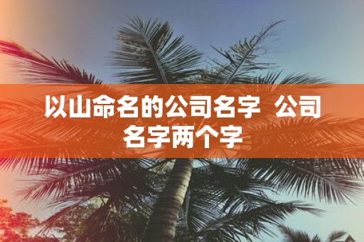 以山命名的公司名字 公司名字两个字