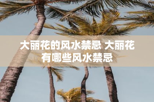 大丽花的风水禁忌 大丽花有哪些风水禁忌