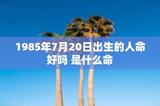 1985年7月20日出生的人命好吗 是什么命