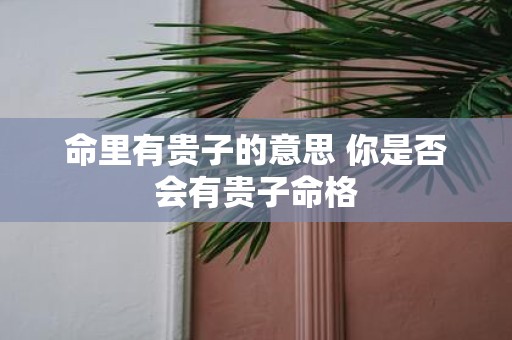 命里有贵子的意思 你是否会有贵子命格