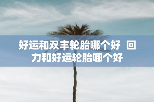 好运和双丰轮胎哪个好 回力和好运轮胎哪个好