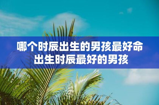 哪个时辰出生的男孩最好命 出生时辰最好的男孩
