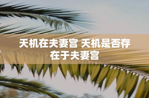 天机在夫妻宫 天机是否存在于夫妻宫