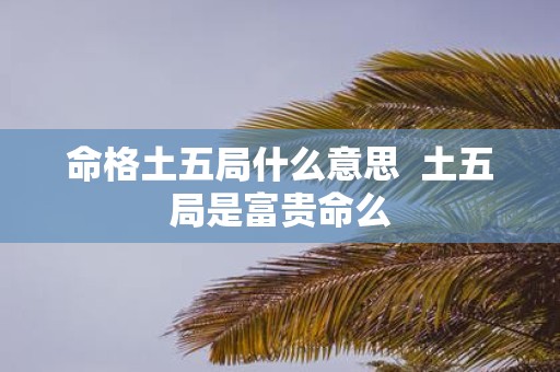 命格土五局什么意思 土五局是富贵命么