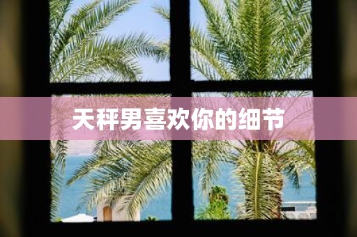 天秤男喜欢你的细节