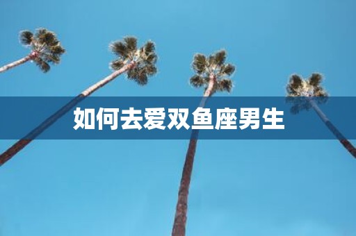 如何去爱双鱼座男生