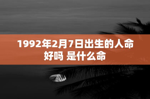1992年2月7日出生的人命好吗 是什么命