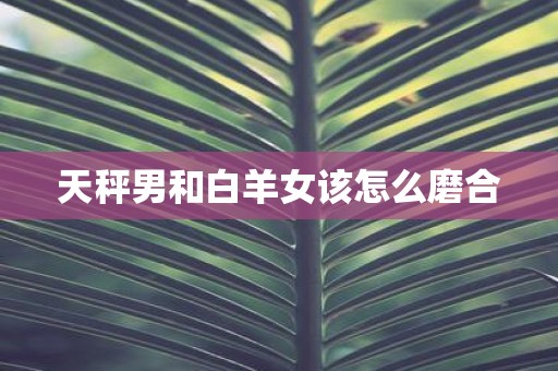 天秤男和白羊女该怎么磨合