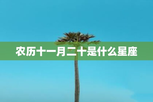 农历十一月二十是什么星座