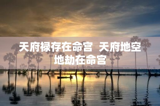 天府禄存在命宫 天府地空地劫在命宫