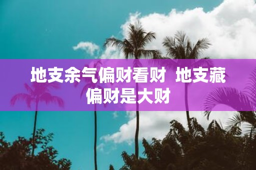 地支余气偏财看财 地支藏偏财是大财