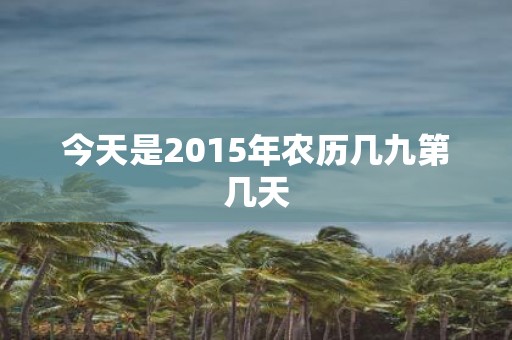 今天是2015年农历几九第几天