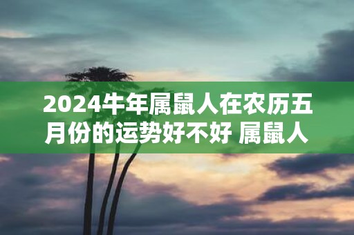 2025牛年属鼠人在农历五月份的运势好不好 属鼠人2025年运势