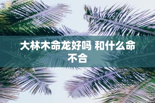 大林木命龙好吗 和什么命不合