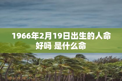 1966年2月19日出生的人命好吗 是什么命