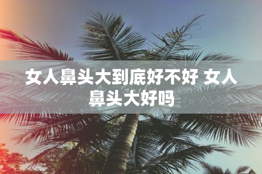 女人鼻头大到底好不好 女人鼻头大好吗