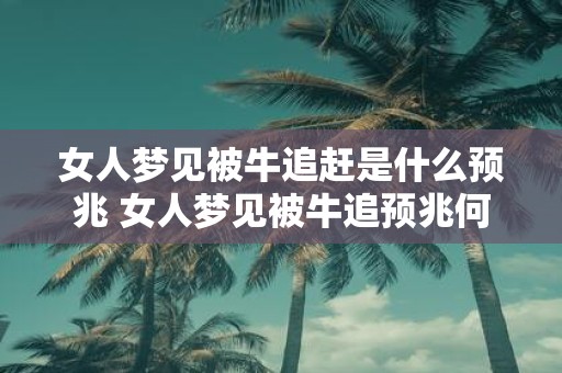 女人梦见被牛追赶是什么预兆 女人梦见被牛追预兆何