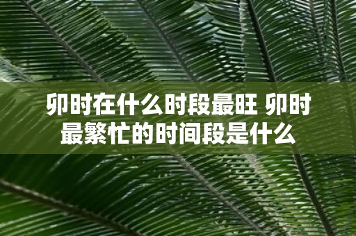 卯时在什么时段最旺 卯时最繁忙的时间段是什么