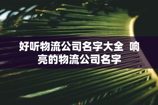 好听物流公司名字大全 响亮的物流公司名字