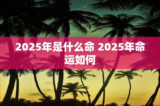 2025年是什么命 2025年命运如何