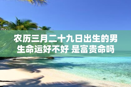 农历三月二十九日出生的男生命运好不好 是富贵命吗