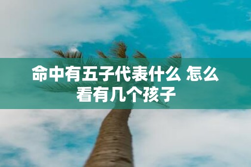 命中有五子代表什么 怎么看有几个孩子
