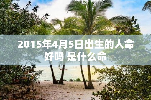 2015年4月5日出生的人命好吗 是什么命