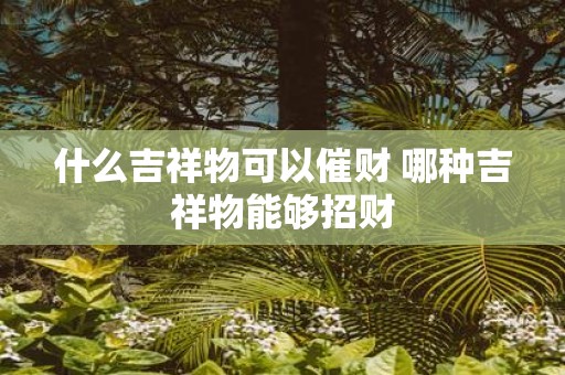 什么吉祥物可以催财 哪种吉祥物能够招财