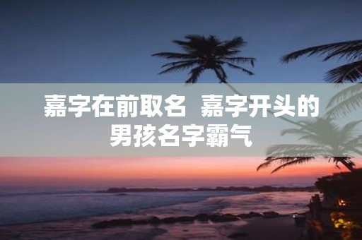嘉字在前取名 嘉字开头的男孩名字霸气