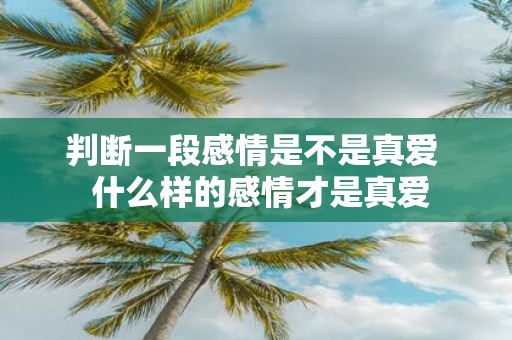 判断一段感情是不是真爱 什么样的感情才是真爱