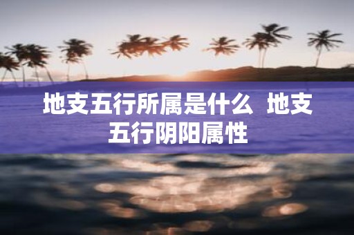 地支五行所属是什么 地支五行阴阳属性
