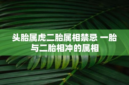 头胎属虎二胎属相禁忌 一胎与二胎相冲的属相
