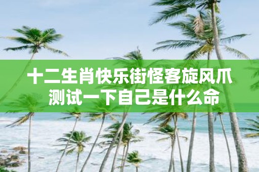 十二生肖快乐街怪客旋风爪 测试一下自己是什么命