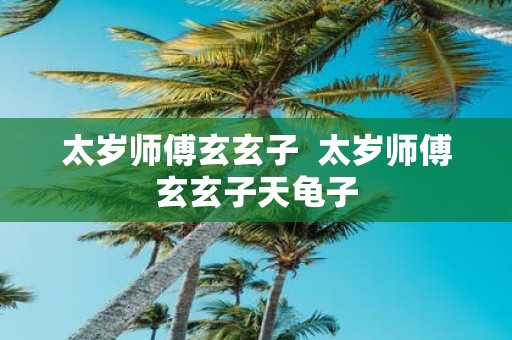 太岁师傅玄玄子  太岁师傅玄玄子天龟子